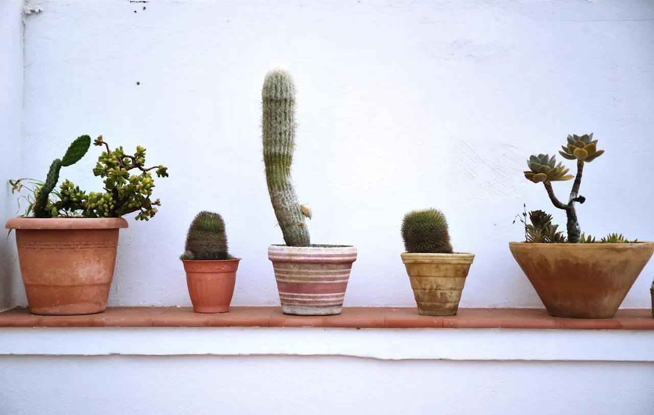 Hitide House Hostel Las Palmas de Gran Canaria